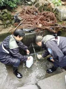 組建應(yīng)急分隊(duì)，筑牢汛期飲水安全防線