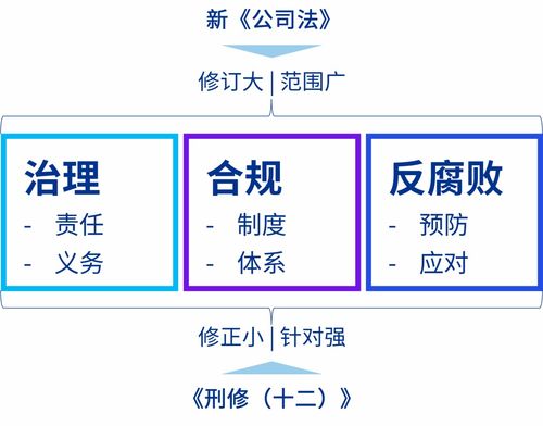 新公司法與刑修十二 企業(yè)風(fēng)險(xiǎn)管理的影響與啟示